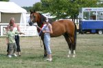Arab Horse Society National Championship Show<br>Malvern - Thursday 27 July 2006<br>©J.Balean / horsesnips.com