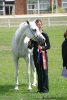El Carmelle ( Carmargue x Eternelle )and Hannah Weeks<br>Arab Horse Society National Championship Show<br>Malvern - Thursday 27 July 2006<br>©J.Balean / horsesnips.com