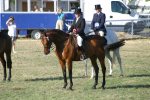 Rachel Dear's Ottoman (Ottergayle x Desert Colours) <br>Arab Horse Society National Championship Show<br>Malvern - Friday 28 July 2006<br>©J.Balean / horsesnips.com