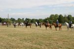 Western<br>Arab Horse Society National Championship Show<br>Malvern - Saturday 29 July 2006<br>©J.Balean / horsesnips.com