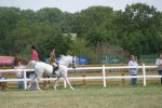 Arab Horse Society National Championship Show<br>Malvern - Saturday 29 July 2006<br>©J.Balean / horsesnips.com