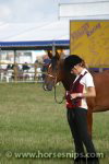 ZK Valadivja (Emiratus x Valkyrja)<br>Miss J Searle<br>Edenbridge & Oxted Agricultural Show 2006<br>©K.Weeks / horsesnips.com