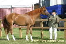 Edenbridge & Oxted Agricultural Show 2006<br>©K.Weeks / horsesnips.com