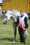 SHF Warrior (Warranty x SHF Mint Julep)<br>Mrs s Crompton<br>Edenbridge & Oxted Agricultural Show 2006<br>©K.Weeks / horsesnips.com
