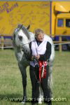 SHF Warrior (Warranty x SHF Mint Julep)<br>Mrs s Crompton<br>Edenbridge & Oxted Agricultural Show 2006<br>©K.Weeks / horsesnips.com