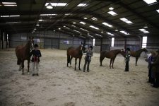 Anglo & Partbred Arab Mares 4yrs and over <br>SEAHG Spring Show Ardingly 20th April 2008<br>