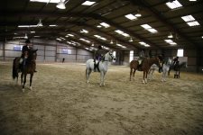Pure Bred Open Ridden Mares <br>SEAHG Spring Show Ardingly 20th April 2008<br>
