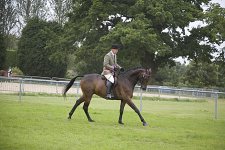 SEAHG Summer Show 2008<br>Ridden Classes - 6th July 2008<br>South of England Showground<br>Ardingly, West Sussex<br>