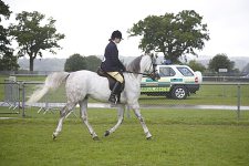 SEAHG Summer Show 2008<br>Ridden Classes - 6th July 2008<br>South of England Showground<br>Ardingly, West Sussex<br>