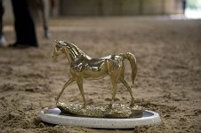 The Alomira Trophy Sponsored by Pamela Harrison for Pure Bred Arabrian Mares 