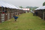 The Stables at AHS National Championship Show Malvern 2005