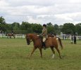 Toy Story ridden by Maria Pook AHS National Championship Show Malvern 2005