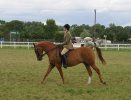 Toy Story ridden by Maria Pook AHS National Championship Show Malvern 2005