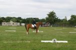 Maria Pook & Toy Story riding dressage  AHS National Championship Show Malvern 2005