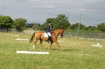 Maria Pook & Toy Story riding dressage  AHS National Championship Show Malvern 2005