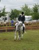 PHA Silvern Risalm ridden by Darren Crowe presented first ever WAHO Trophy AHS National Championship Show Malvern 2005