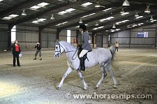 South East Arabian Horse Group<br>Spring Indoor Show<br>Ardingly<br>22nd April 2007<br>©www.horsesnips.com