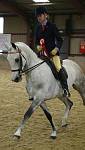 Anglo & Part Bred Arab Novice Ridden Mare<br>1st  Alpha Centauri 	owned and ridden by Tracy Heaver