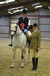 ANGLO & PART BRED RIDDEN Championship<br>Reserve  	Bourningwood Clasic Scholar  owned and ridden by Nicola Spensley 