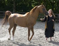 Argos Hill Arabians 20 July 2008<br>Heather Brown with stallion Psyche's Spirit