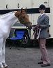 Perriland Politician Owned by Mandy Burr & Maria Pook<br>UK Gold 'C' Arabian Horse Show <br>Saturday 27th May 2006<br>Windsor Racecourse